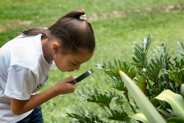 importancia-educacion-primaria-en-tus-hijos-2